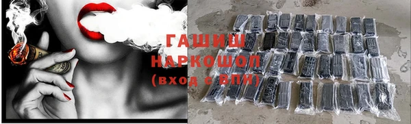 гидра Саяногорск