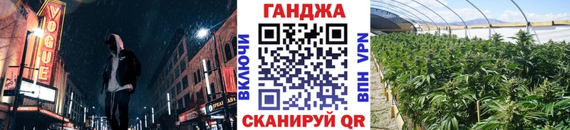 Купить закладки  Пересвет  Канабис сатива 